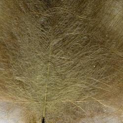 Cul de canard DEVAUX select OLIVE DUN