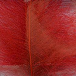 Cul de canard DEVAUX select rouge