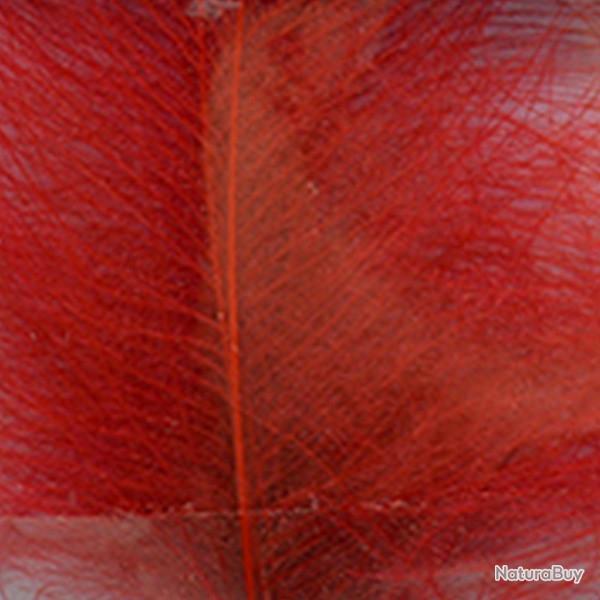 Cul de canard DEVAUX select rouge