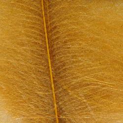 Cul de canard DEVAUX select TABAC