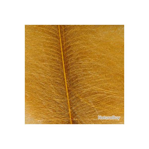 Cul de canard DEVAUX select TABAC