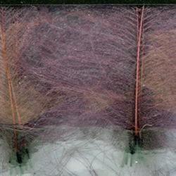 Cul de canard DEVAUX select Violet