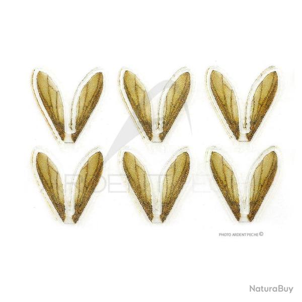 Ailes r�alistes Bee Wings petites