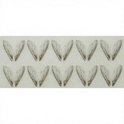 Ailes r&eacute;alistes Bottle fly wings petites