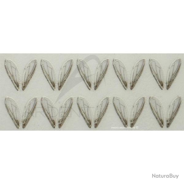Ailes r�alistes Bottle fly wings petites