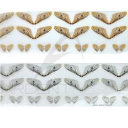 Ailes r&eacute;alistes mouche de mai gris clair grand