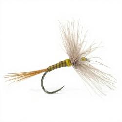 Mouche DEVAUX S&egrave;che A4QC H16