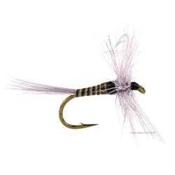 Mouche DEVAUX S&egrave;che AK5 H12