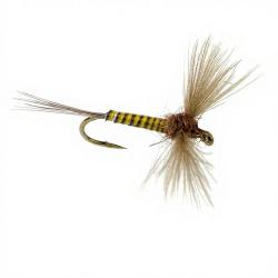 Mouche DEVAUX Spent JBS 02 H14