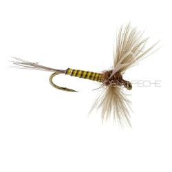 Mouche DEVAUX Spent JBS 02 H16