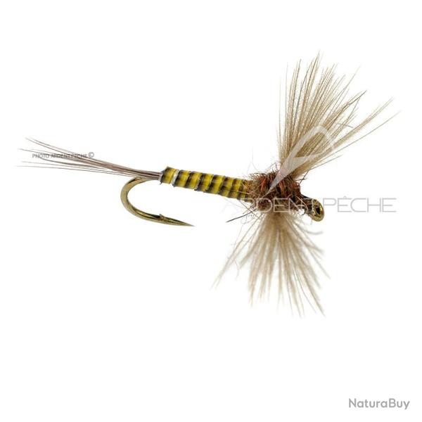 Mouche DEVAUX Spent JBS 02 H18