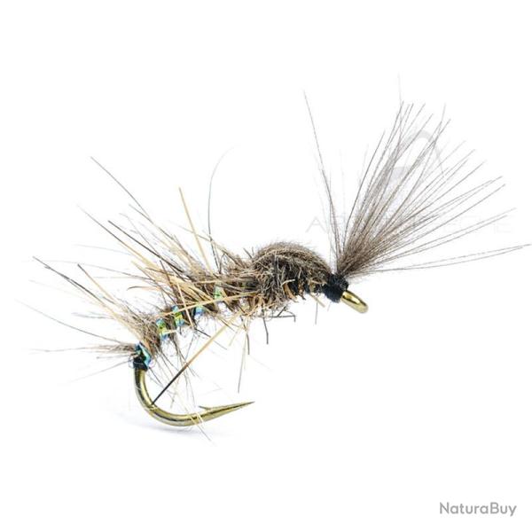 Mouche AB FLY Chironome Shut NA H14