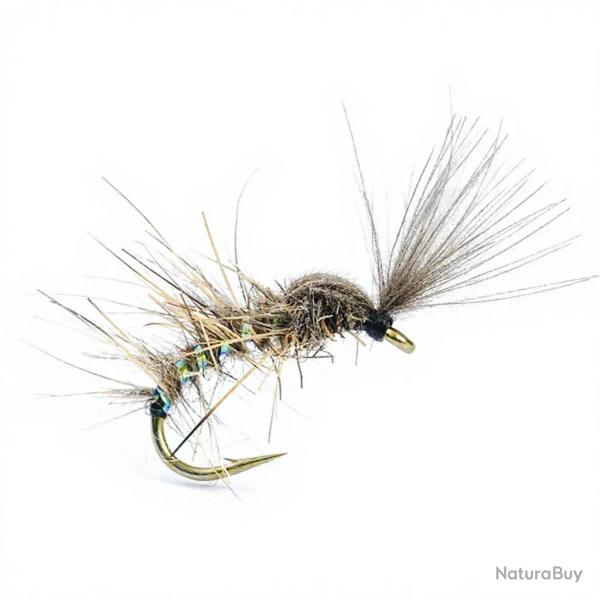 Mouche AB FLY Chironome Shut NA H14
