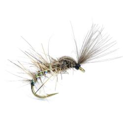 Mouche AB FLY Chironome Shut NA H16