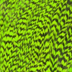 Demi selle de coq grizzly chartreuse