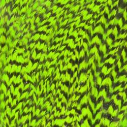 Demi selle de coq grizzly chartreuse
