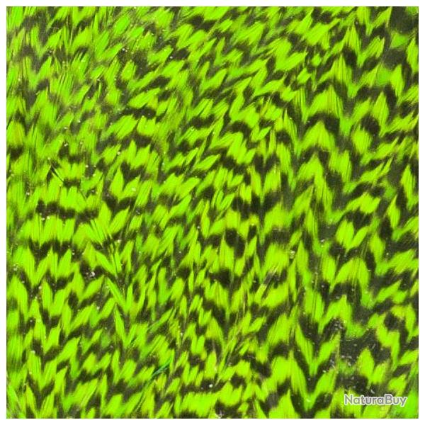 Demi selle de coq grizzly chartreuse