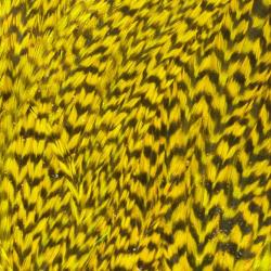 Demi selle de coq grizzly jaune