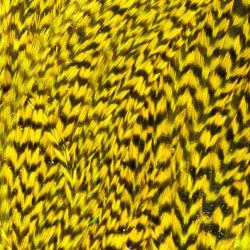 Demi selle de coq grizzly jaune