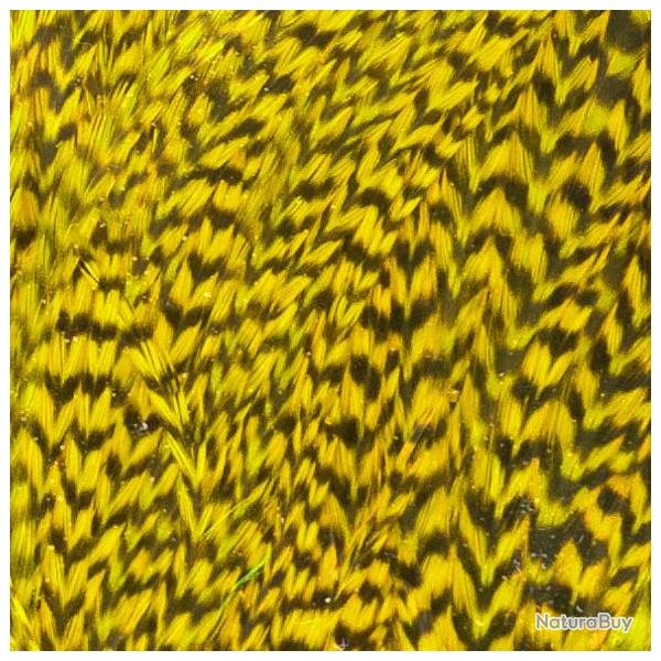 Demi selle de coq grizzly jaune