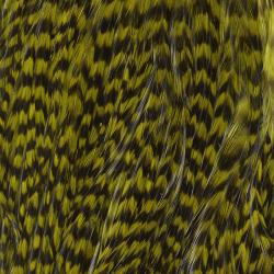 Demi selle de coq grizzly olive