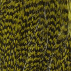Demi selle de coq grizzly olive