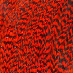 Demi selle de coq grizzly rouge