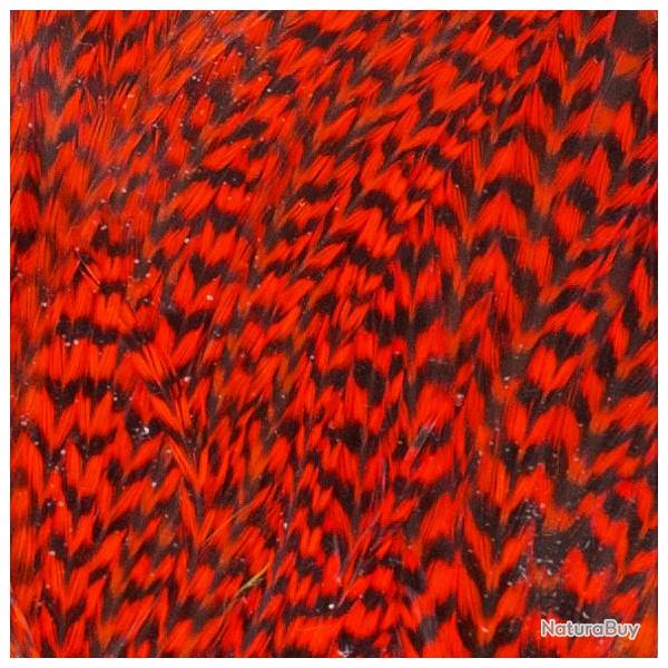 Demi selle de coq grizzly rouge