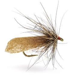 Mouche Igor et Nadica Stancev sedge cinnamon li&egrave;vre H16
