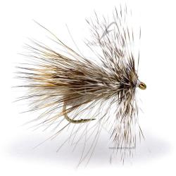 Mouche Igor et Nadica Stancev gray moth H12