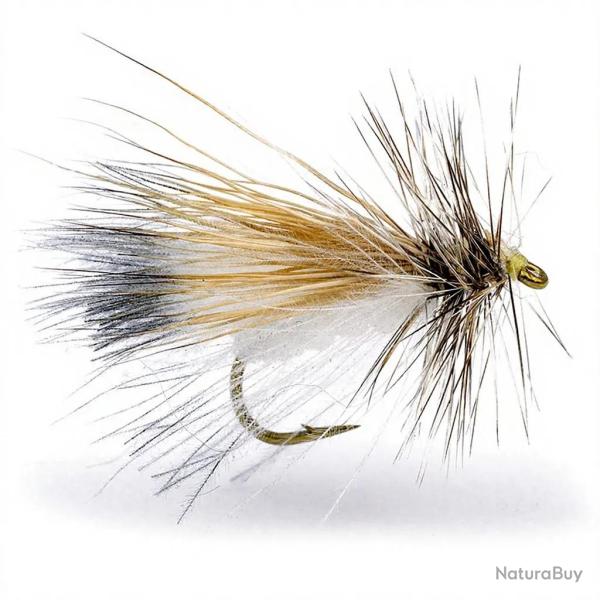 Mouche Igor et Nadica Stancev white moth H12
