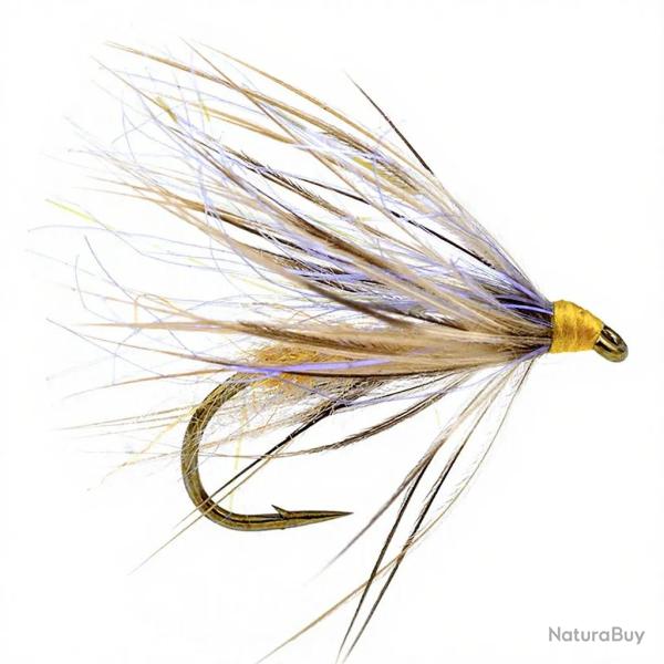 Mouche Igor et Nadica Stancev Peute tan H16