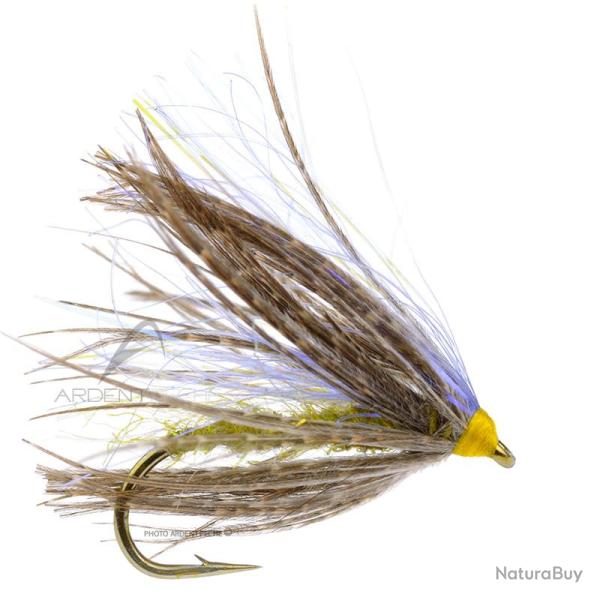 Mouche Igor et Nadica Stancev Peute olive H14