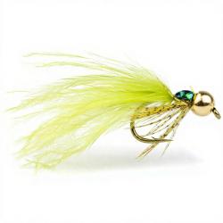 Mouche Igor et Nadica Stancev nymphe de libellule H10