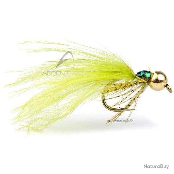 Mouche Igor et Nadica Stancev nymphe de libellule H12
