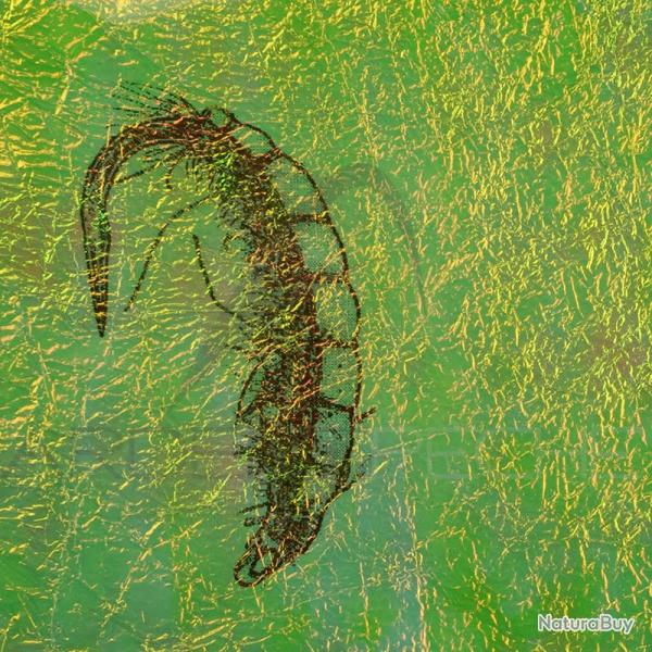 Fine FlashBack SYBAI Light Green