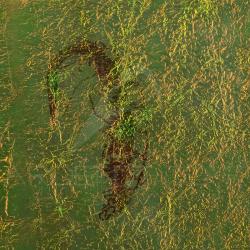 Fine FlashBack SYBAI Olive