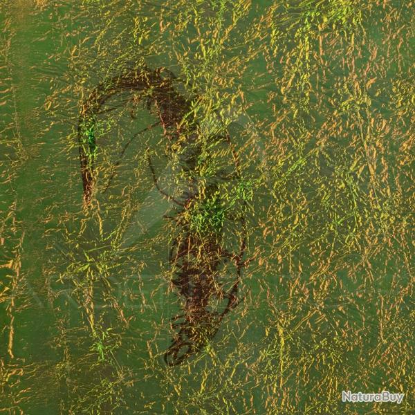 Fine FlashBack SYBAI Olive