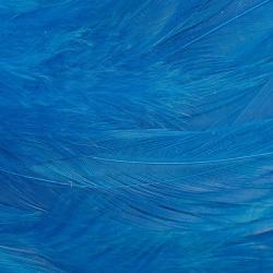 Plumes de saddle Bleu