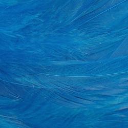 Plumes de saddle Bleu