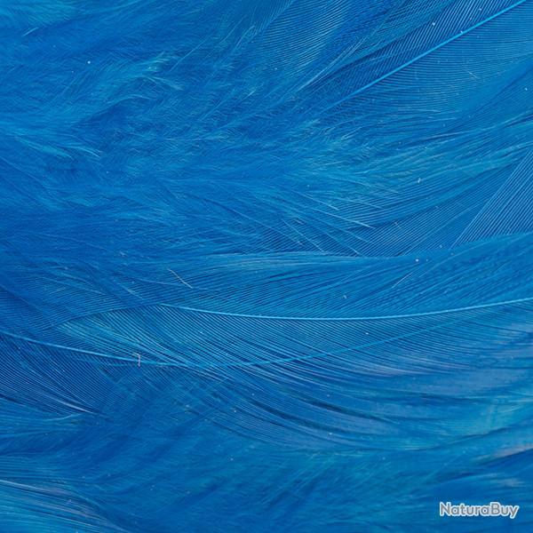 Plumes de saddle Bleu