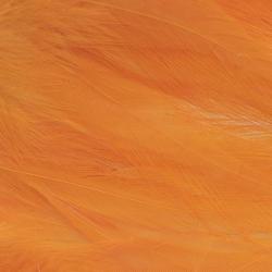 Plumes de saddle Fluo orange
