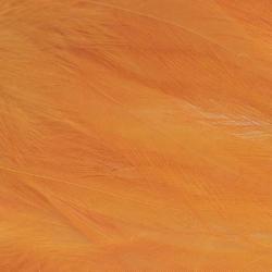 Plumes de saddle Fluo orange