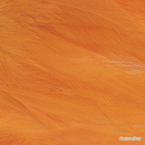 Plumes de saddle Fluo orange
