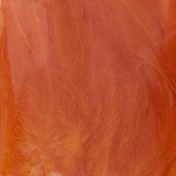 Plumes de saddle Hot orange