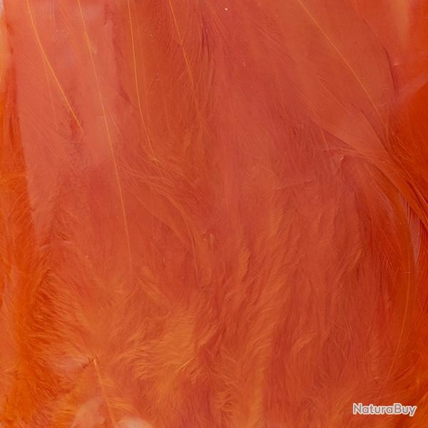 Plumes de saddle Hot orange
