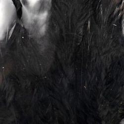 Plumes de saddle Noir