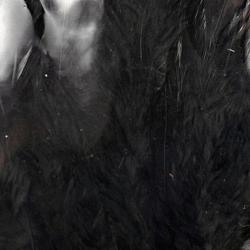 Plumes de saddle Noir