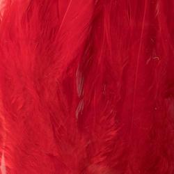 Plumes de saddle Rouge