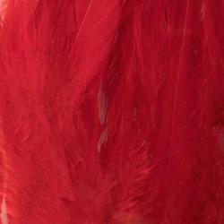 Plumes de saddle Rouge